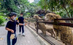 Zoopedaan Bersama Dafam Fortuna