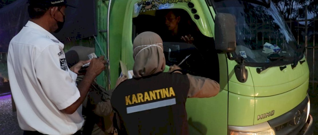 Kepala Balai Karantina Pertanian Makassar, Lutfie Natsir SH MH, turun langsung memimpin operasi patuh karantina, di Pelabuhan Bajoe, Kabupaten Bone, Rabu, 8 September 2021. 