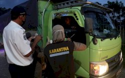 Lutfie Natsir Turun Langsung Pimpin Operasi Patuh Karantina di Pelabuhan Bajoe