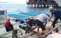 Dibutuhkan Waktu 2 Pekan, Dinas Sosial Makassar Rampungkan Penerimaan Bansos Sebanyak 70.488 KPM 