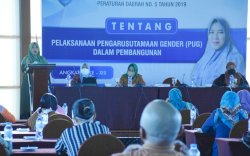 Sosialisasi Pengarusutamaan, Fatma Wahyuddin: Dapat Memberikan Kesetaraan dan Keadilan dalam Kedudukan