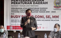 RPG: Salah Satu Alasan Perubahan RPJMD Sulsel  2018 - 2023 Adalah Adanya Pandemi Covid 19