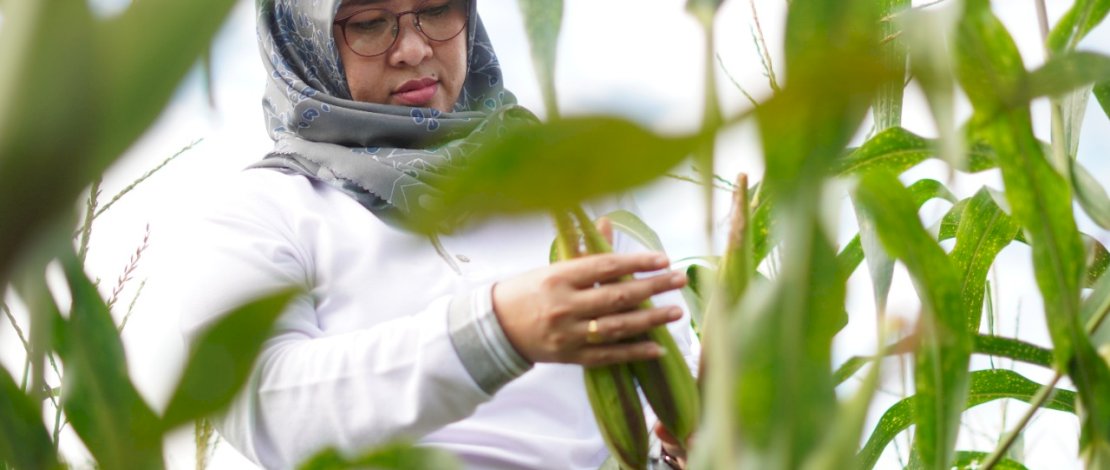 Hj Sitti Husniah Dg Talenrang bersama petani jagung.