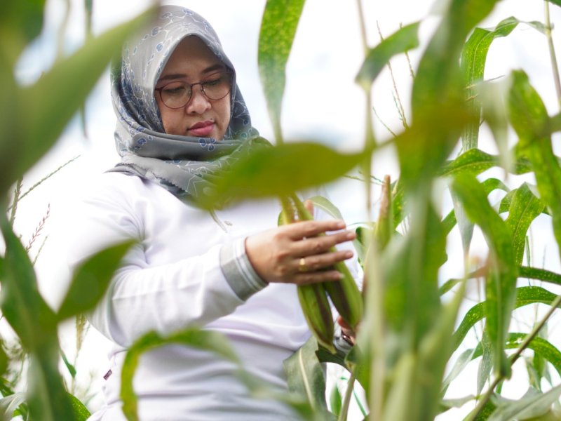 Husniah Daeng Talenrang dan Peran Petani Penggerak Ekonomi