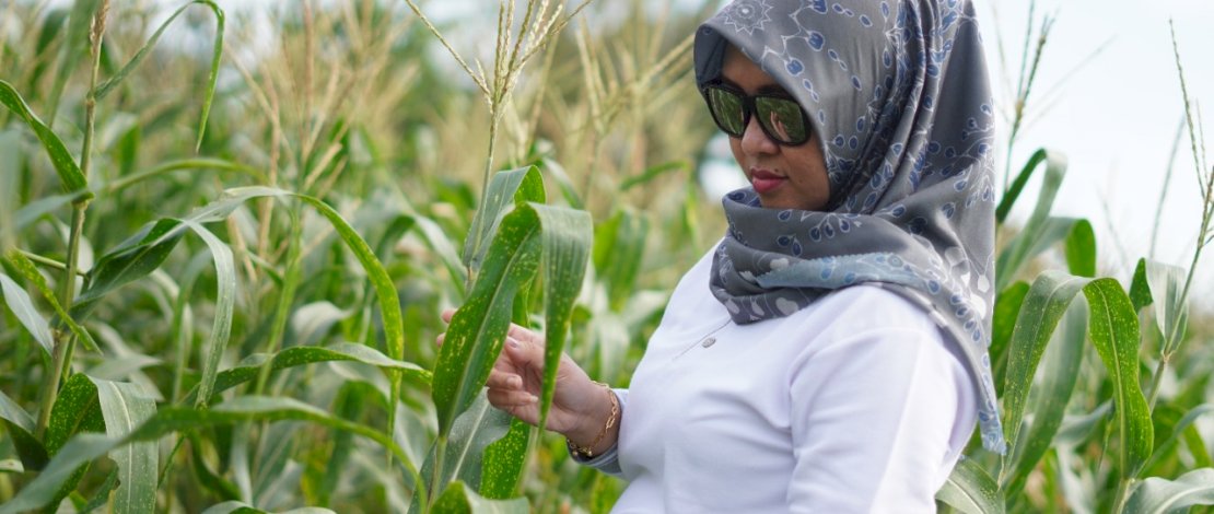 Hj Sitti Husniah Dg Talenrang bersama petani jagung.