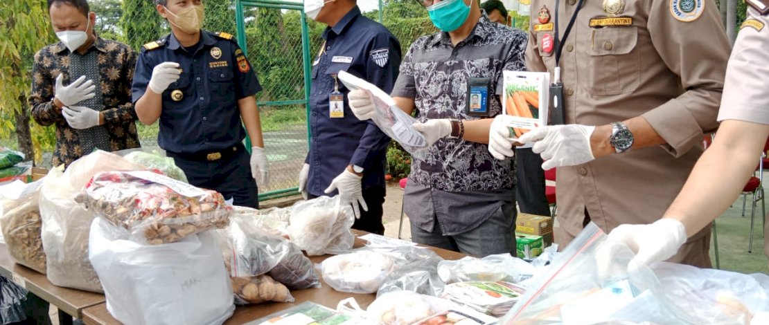 Kepala Balai Besar Karantina Pertanian (BBKP) Makassar, Lutfie Natsir SH MH, memimpin pemusnahan media pembawa Hama Penyakit Hewan Karantina (HPHK) dan Organisme Pengganggu Tumbuhan Karantina (OPTK), di Kantor BBKP Makassar, Jalan Perintis Kemerdekaan, Jumat, 24 September 2021. 