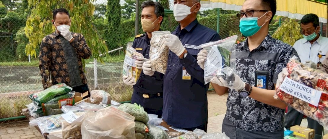 Kepala Balai Besar Karantina Pertanian (BBKP) Makassar, Lutfie Natsir SH MH, memimpin pemusnahan media pembawa Hama Penyakit Hewan Karantina (HPHK) dan Organisme Pengganggu Tumbuhan Karantina (OPTK), di Kantor BBKP Makassar, Jalan Perintis Kemerdekaan, Jumat, 24 September 2021. 