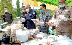 Kebanyakan Dipesan Via Online, BBKP Makassar Musnahkan Benih Ilegal Pembawa Hama