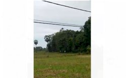 Emas dan Uang Tunai Jutaan Rupiah di Bone Digondol Maling, Pelaku Dikejar hingga ke Sawah