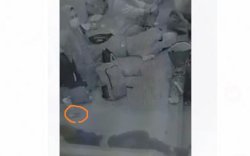 Pencuri HP Terekam CCTV Saat Beraksi di Atas Kapal Feri Bajoe-Kolaka