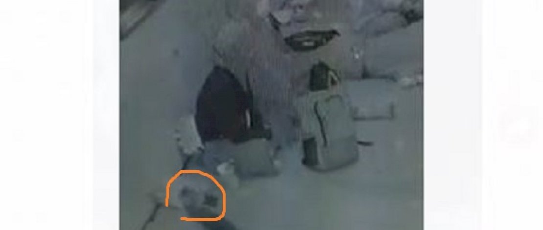 Detik-detik pencurian ponsel di atas kapal feri Bajoe-Kolaka. 