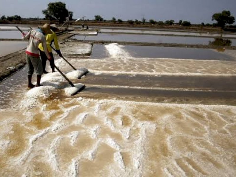 Ini Alasan Pemerintah Lakukan Impor Garam Sebesar 3,07 Juta Ton Tahun Ini