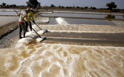 Ini Alasan Pemerintah Lakukan Impor Garam Sebesar 3,07 Juta Ton Tahun Ini