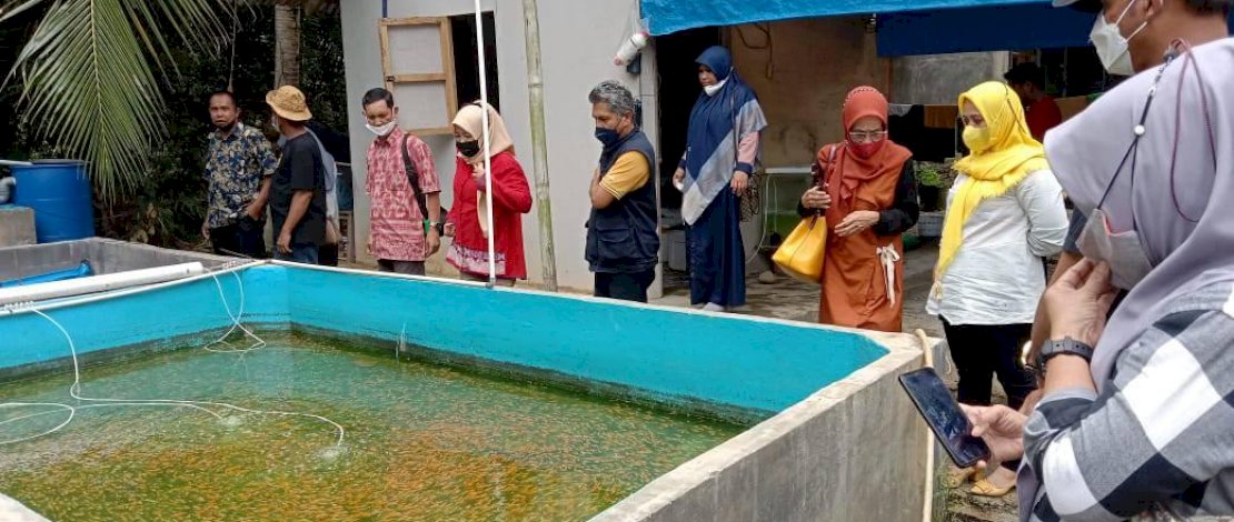 Dinas Perikanan dan Pertanian Kota Makassar melakukan kunjungan ke BPP Kecamatan Tanalili, Kabupaten Luwu Utara, Jumat (24/9/2021).