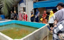 Dinas Perikanan dan Pertanian Pemkot Makassar Intip Inovasi Getar Dilan dan Pojok Bisa Pemkab Lutra 