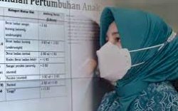Bersama IDI, PKK Gowa Gelar Webinar Kesehatan Cegah Stunting