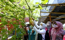 Bangkitkan Ekonomi Masyarakat, Wawali Fatma Harap Penerapan Digitalisasi UMKM