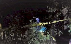 Diduga Korban Pembunuhan 6 Hari Lalu, Mayat Wanita di Gowa Punya Luka Bacok pada Punggung