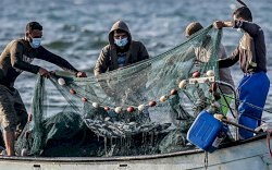 Ratusan Kapal Vietnam Bebas Tangkap Ikan di Laut Natuna, Nelayan Minta Pemerintah Bertindak 