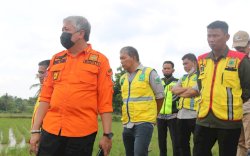 Tinjau Pengerjaan Proyek Fisik, Irwan Hamid: Utamakan Kualitas