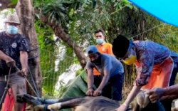 Wali Kota Parepare Taufan Pawe Ungkap Kenikmatan Menyembelih Sendiri Hewan Qurban 