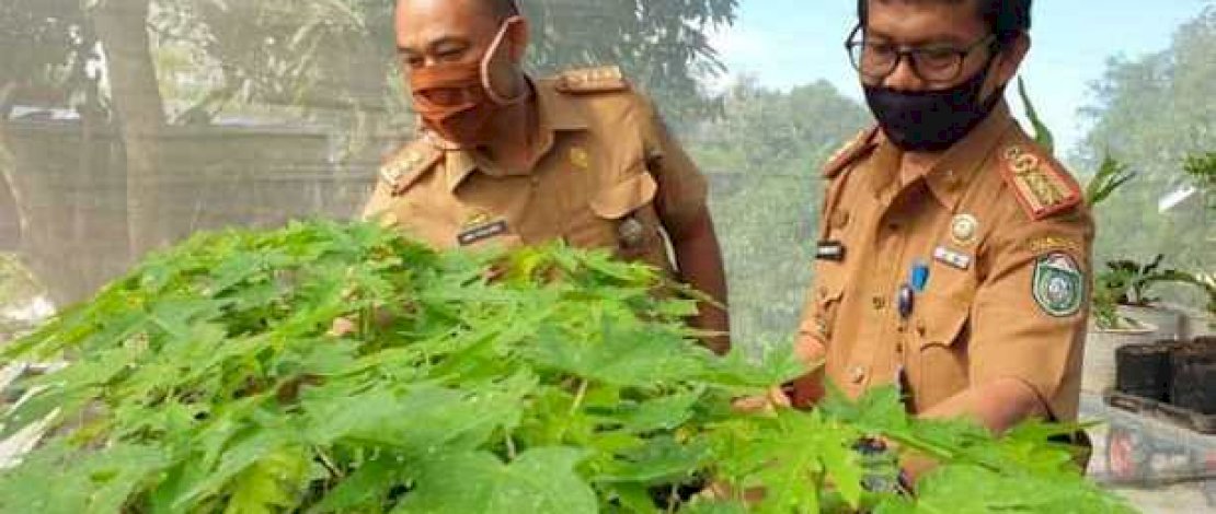 Kepala Dinas Ketahanan Pangan Kota Parepare, Muhammad Nur.