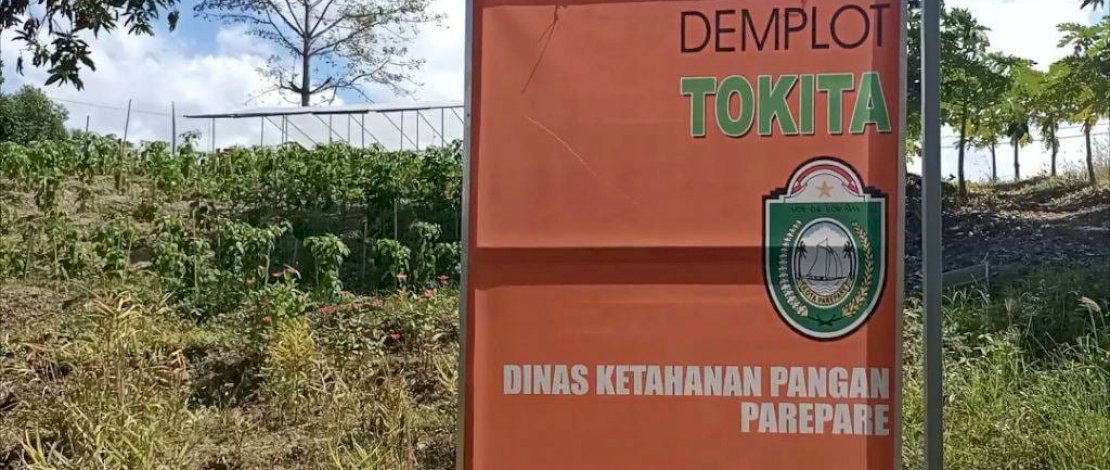 Pemkot Parepare Kembangkan Tanaman Obat Tradisional Lewat Inovasi &lsquo;Tokita&rsquo;