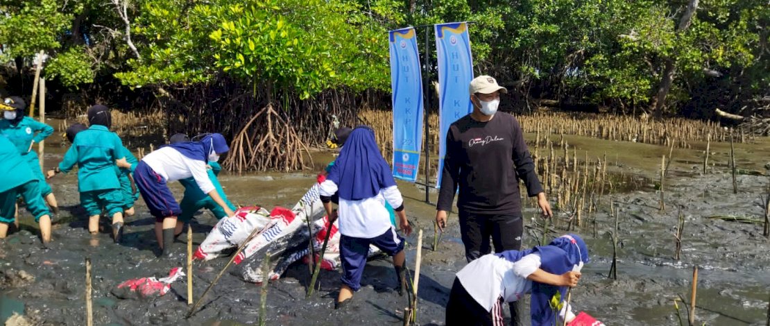 Penanaman Mangrove dan Aksi Bersih Pantai Penanaman Mangrove dan Aksi Bersih Pantai