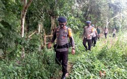 Hilang di Hutan Saat Mecari Kayu Bakar, SAR Brimob Bone Diterjunkan Cari Nenek Suhera