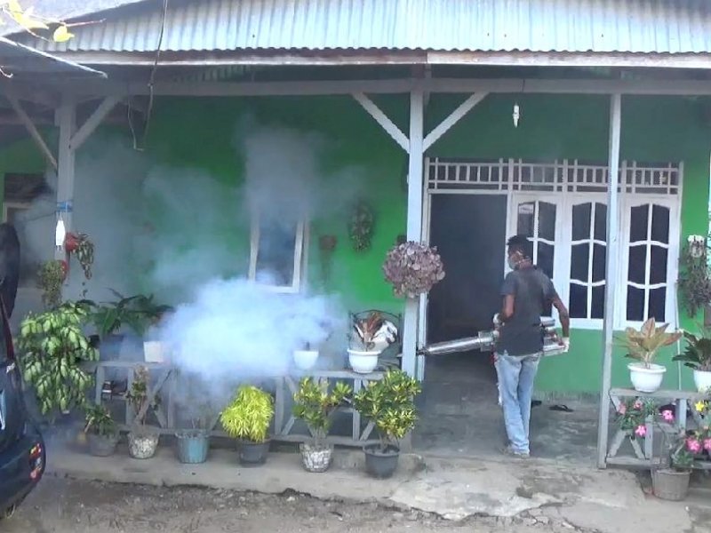 Kasus DBD di Palopo Capai 209, Dua Diantaranya Meninggal Dunia