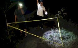 Pelaku Pembunuhan Pensiunan Guru di Pangkep Diduga Tewas Tenggelam, Sempat Ditembak Sebelum Terjun ke Sungai