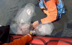 Ditemukan Mengapung di Sungai, Pembunuh Pensiunan Guru di Pangkep Baru Keluar dari RS Dadi