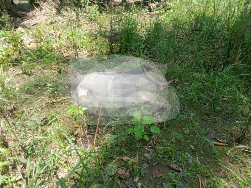 Pelaku Penganiayaan Saudara Kandung di Bone Ditemukan Membusuk di Hutan