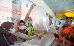 Produk Perikanan Sulsel Senilai Rp 2,5 Miliar Diekspor ke Hongkong