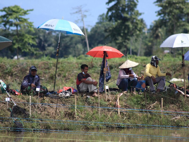 Ratusan Pemancing se Sulsel Ikuti Lomba Ikan Mas di Lutra 