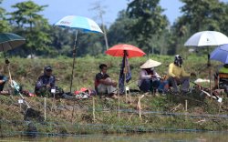Ratusan Pemancing se Sulsel Ikuti Lomba Ikan Mas di Lutra 