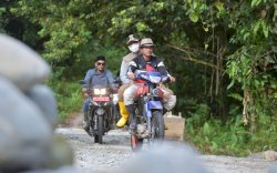 Hadiri Syukuran Panen, Ini Harapan Wabup Luwu Utara