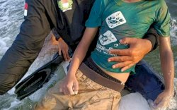 Akram Bocah Tenggelam di Pantai Pinrang Ditemukan Dalam Keadaan Meninggal
