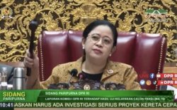 Puan Abaikan Interupsi di Paripurna Andika, Legislator PKS: Gimana Mau Jadi Capres