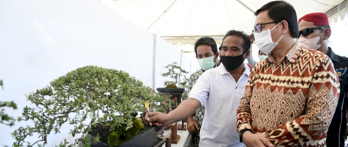 Wakil Bupati Luwu Utara, Suaib Mansur saat mengunjungi pameran bonsai di pelataran sentra bisnis Masamba.