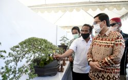 Pesona Bonsai di Bumi Lamaranginang Layak Bersaing di Tingkat Nasional