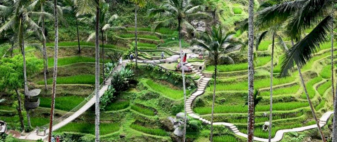 Ubud, Bali.