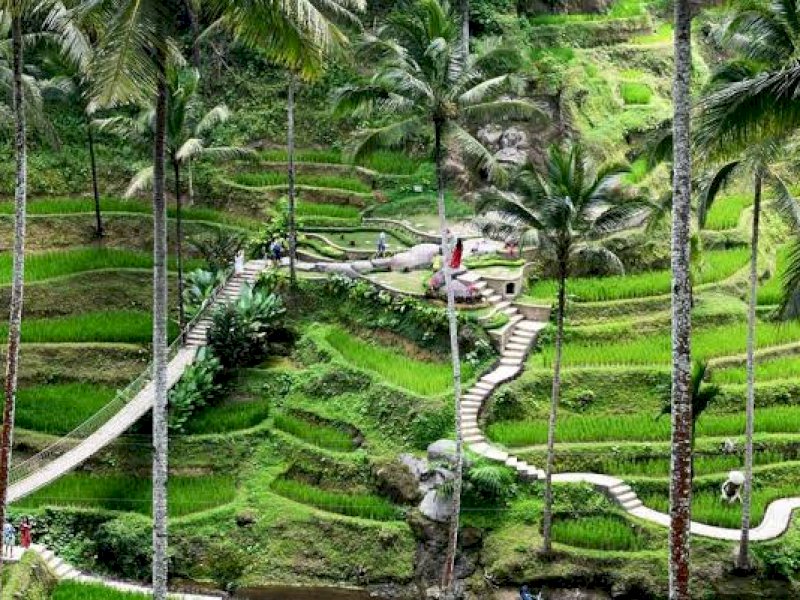 Ubud Bali Masuk 10 Kota Terbaik di Dunia 