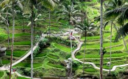 5 Kota Ini Wajib Masuk Daftar Destinasi Wisata Kamu, Kualitas Udaranya Terbaik di Indonesia ! 