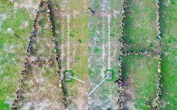 Begini Cara AMPG Sulsel Dukung Airlangga Presiden 2024 di Puncak HUT Golkar ke-57