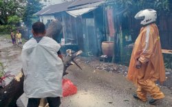 Cuaca Buruk, Tim Reaksi Cepat Satgas Biringkanaya Lakukan Pemangkasan Pohon