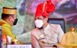 HUT ke-70 Kabupaten Gowa, Plt Gubernur: Kami Anggarkan Rp200 M untuk Gowa