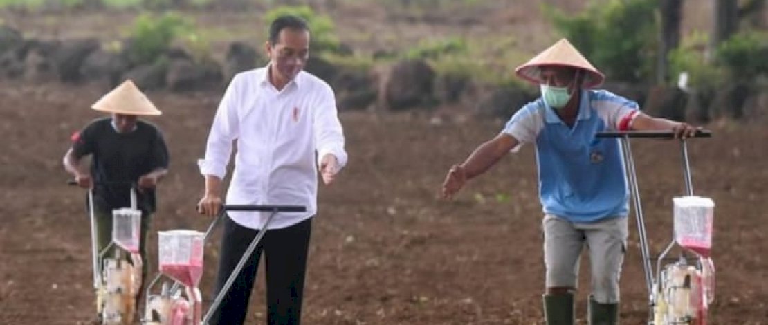 Tanam Jagung Bersama Petani di Jeneponto, Ini Harapan Jokowi 