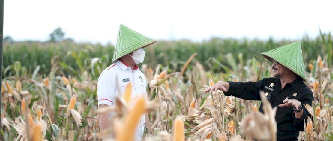 Kunjungi Kab Takalar, Mentan Dorong Jadi Gerbang Utama Komoditas Padi, Jagung dan Kelapa