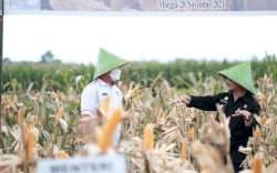 Kunjungi Kab Takalar, Mentan Dorong Jadi Gerbang Utama Komoditas Padi, Jagung dan Kelapa